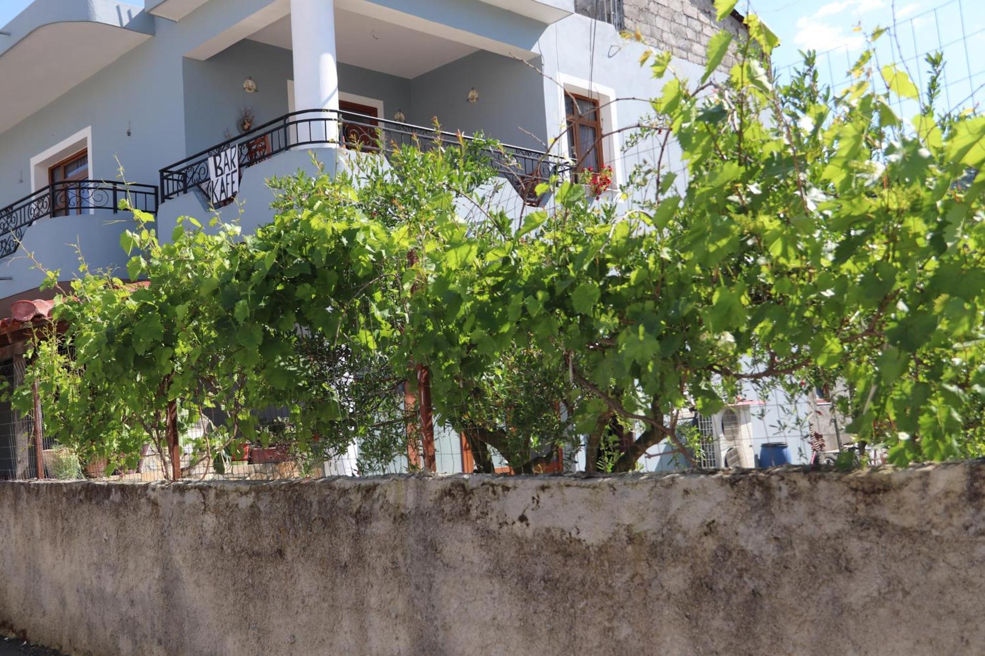 Guesthouse Seli Berat Ngoại thất bức ảnh